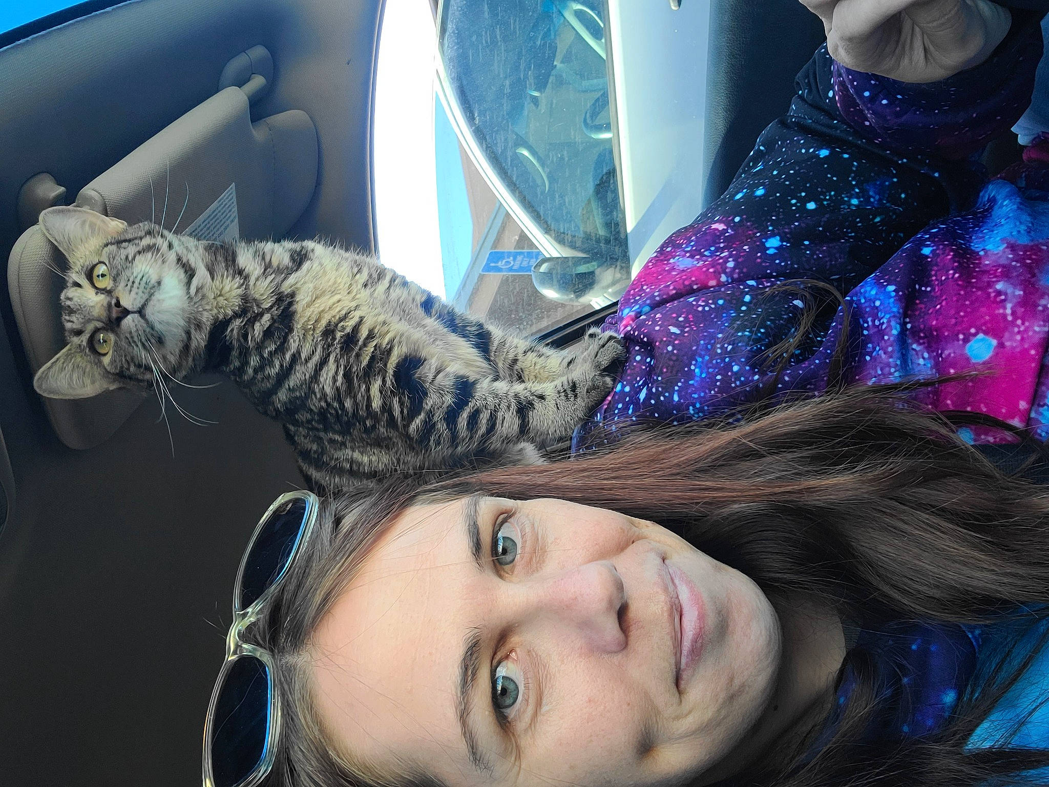 Annabell joined the competition — help win amazing prizes! carnivore, cat, cool, domestic_short_haired_cat, electric_blue, eye, eyelash, eyewear, fashion_accessory, feather, felidae, fun, fur, gesture, happy, head, selfie, small_to_medium_sized_cats, tail, whiskers