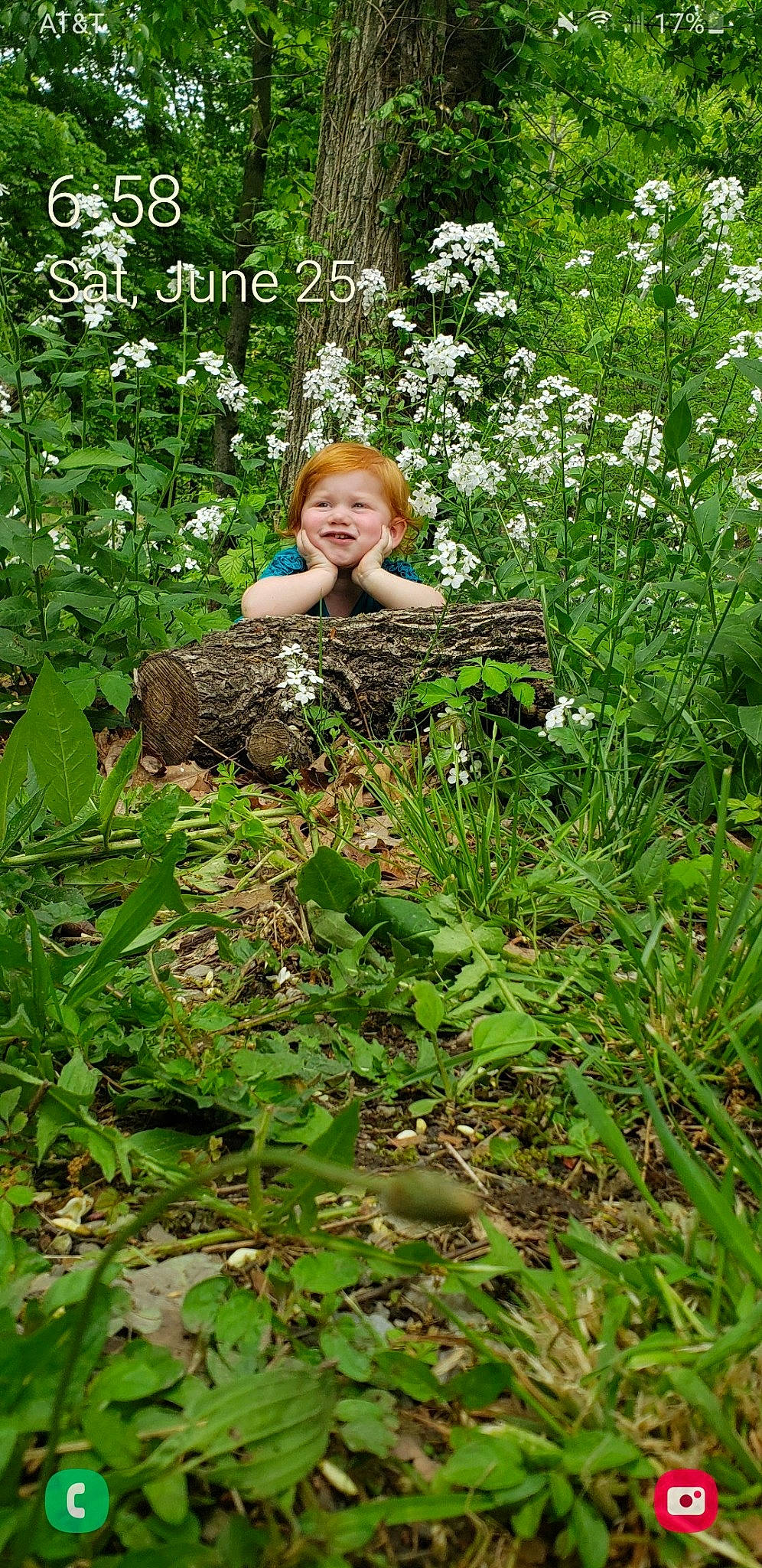 Alicia Jordan is registered to the contest to win money with this photo: eye, fawn, flower, flowering_plant, forest, grass, groundcover, happy, herbaceous_plant, joy, meadow, natural_landscape, people_in_nature, person, plant, shrub, smile, terrestrial_plant, tree, wildflower