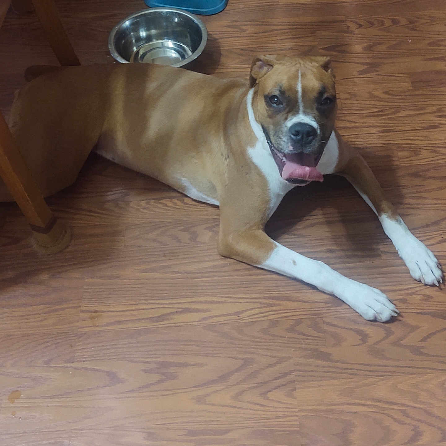 Bella