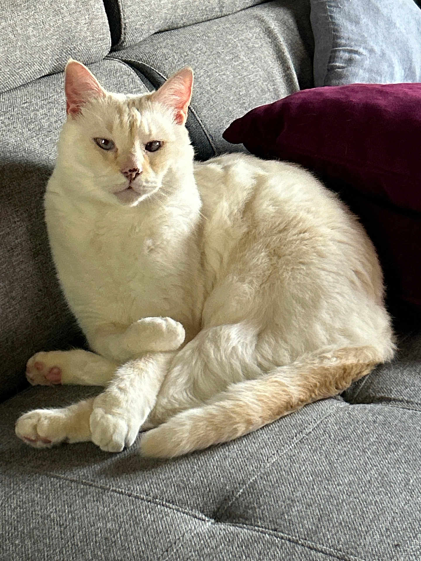 Franklin