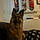 Leeloo