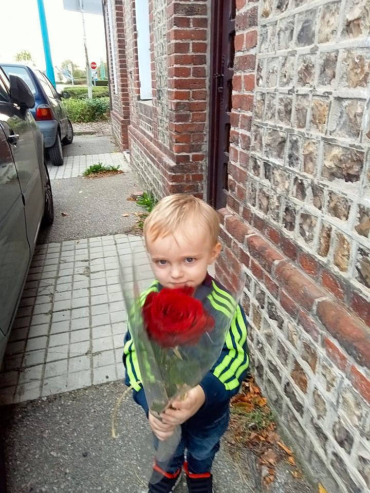 Cameron a rejoint le concours — aidez-le/la à gagner de superbes lots ! asphalt, baby, brick, brickwork, car, child, driveway, flooring, garden, grass, leaf, mammal, person, plant, road_surface, sidewalk, t_shirt, toddler, tree, vacation