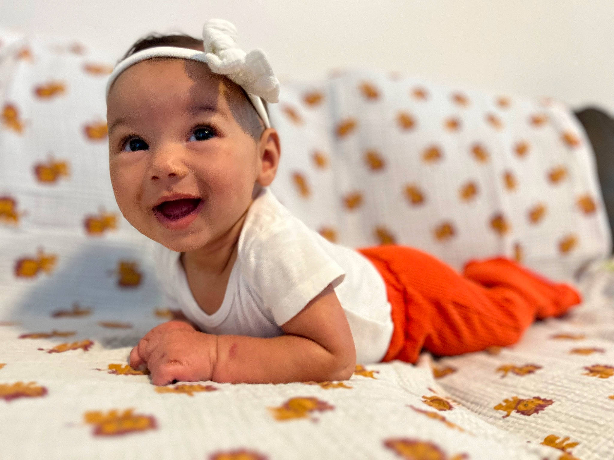 Lily is registered to the contest to win money with this photo: baby, baby_toddler_clothing, child, collar, comfort, flooring, fun, grass, happy, laugh, linens, pattern, people_in_nature, person, portrait_photography, skin, sleeve, smile, t_shirt, toddler