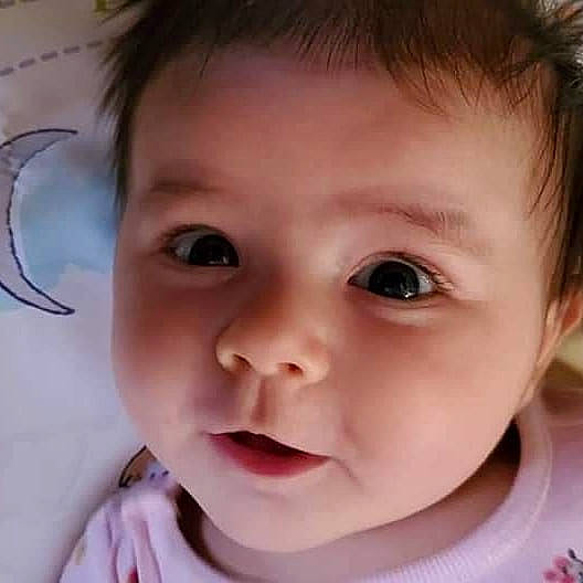 Maisie joined the competition — help win amazing prizes! cheek, chin, ear, eye, eyebrow, eyelash, face, facial_expression, forehead, hair, head, human, iris, lip, mouth, neck, nose, organ, person, skin