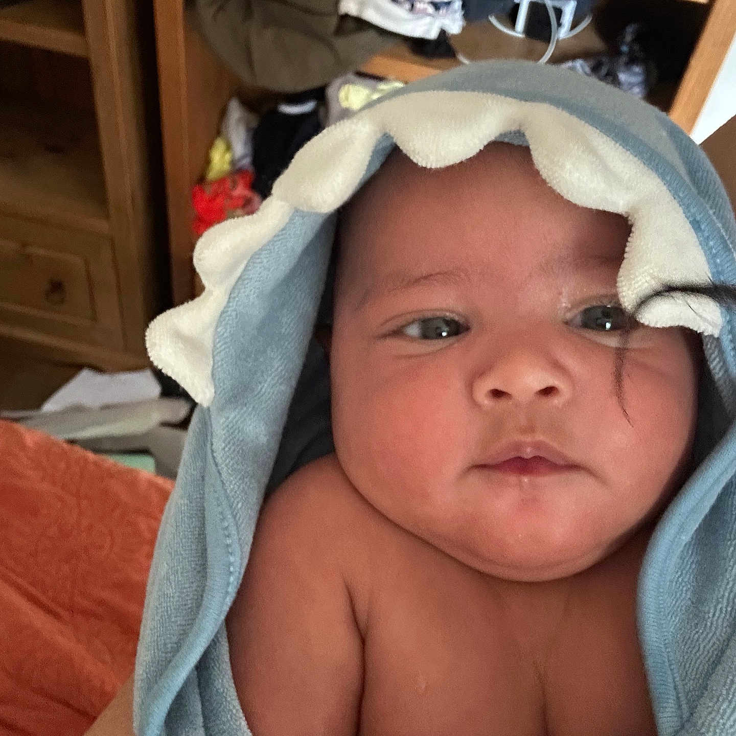 Hugo Lee is registered to the contest to win money with this photo: baby, child, towel, blue_towel, indoors, face, skin, cute, newborn, expression, frilled_edge, person, portrait, infant, wrapped, curly_hair, soft_light, shelf, clothing, blanket