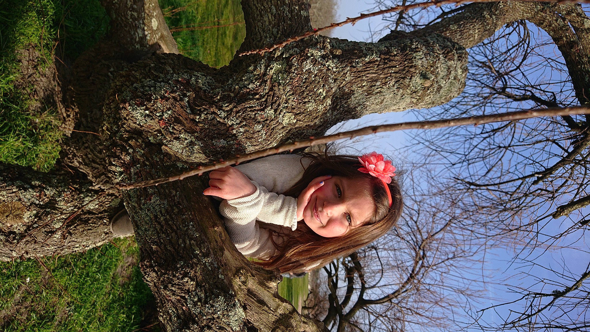 Shaïna participe au concours pour gagner de l'argent avec cette photo : adventure, branch, forest, fun, grass, happy, joy, leisure, old_growth_forest, people_in_nature, person, plant, recreation, sky, smile, terrestrial_plant, tree, trunk, twig, wood