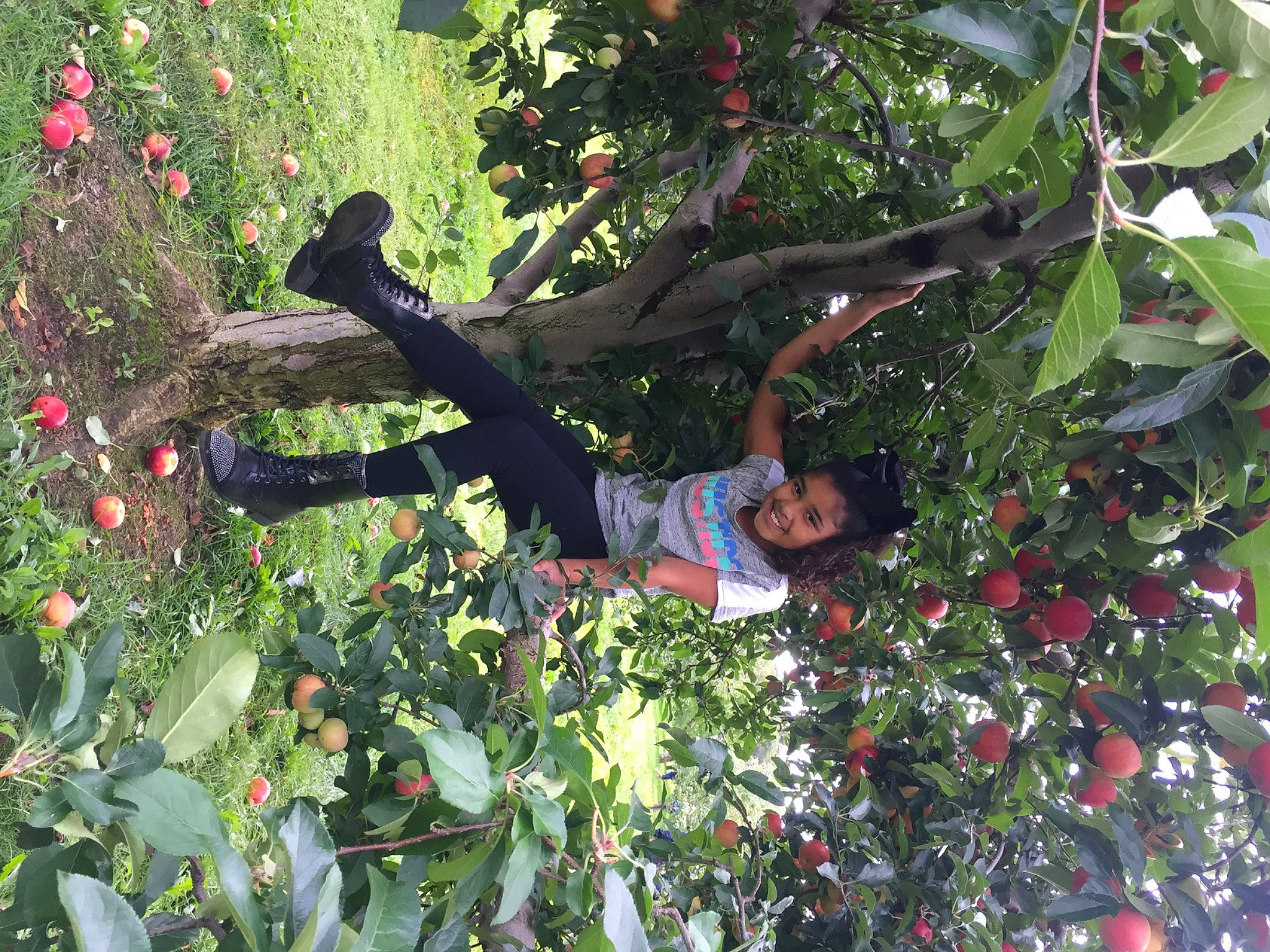 Julianne joined the competition — help win amazing prizes! branch, flower, fruit, fruit_tree, joy, person, plant, tree