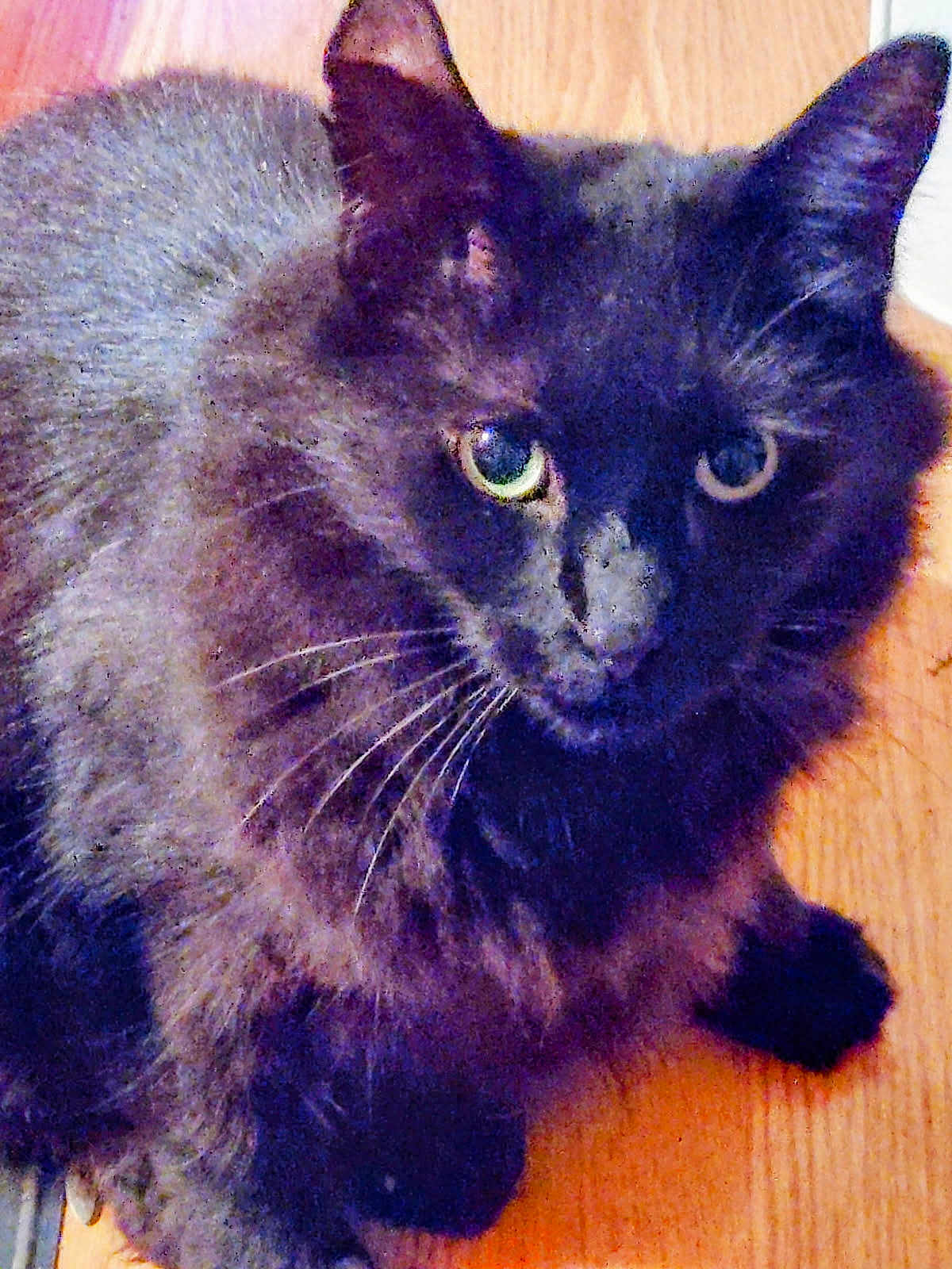 Peanut