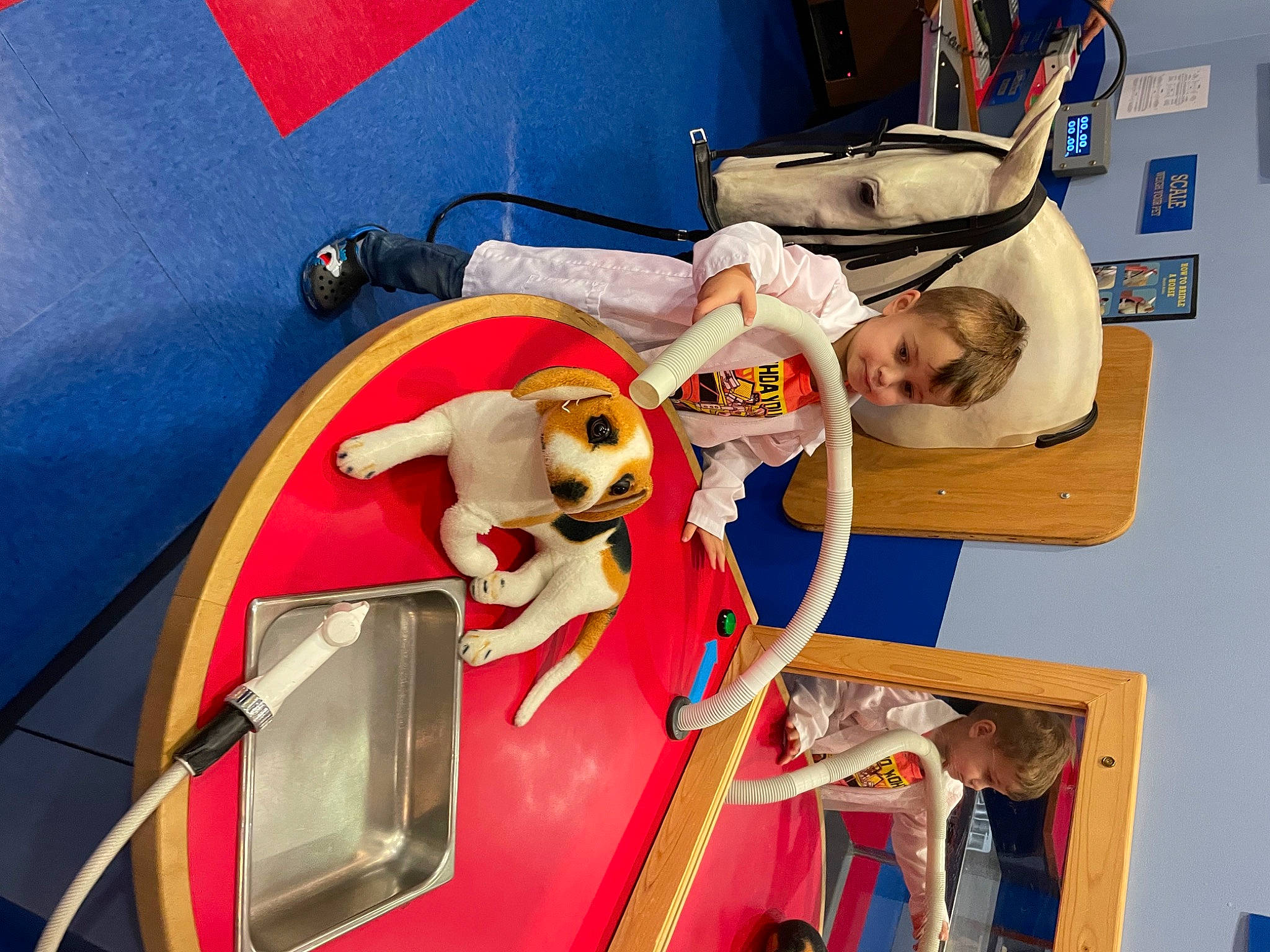 Archer is registered to the contest to win money with this photo: automotive_exterior, carnivore, child, comfort, companion_dog, dog, dog_breed, fun, leisure, motor_vehicle, person, play, recreation, room, snapshot, stuffed_toy, t_shirt, toddler, toy, vacation