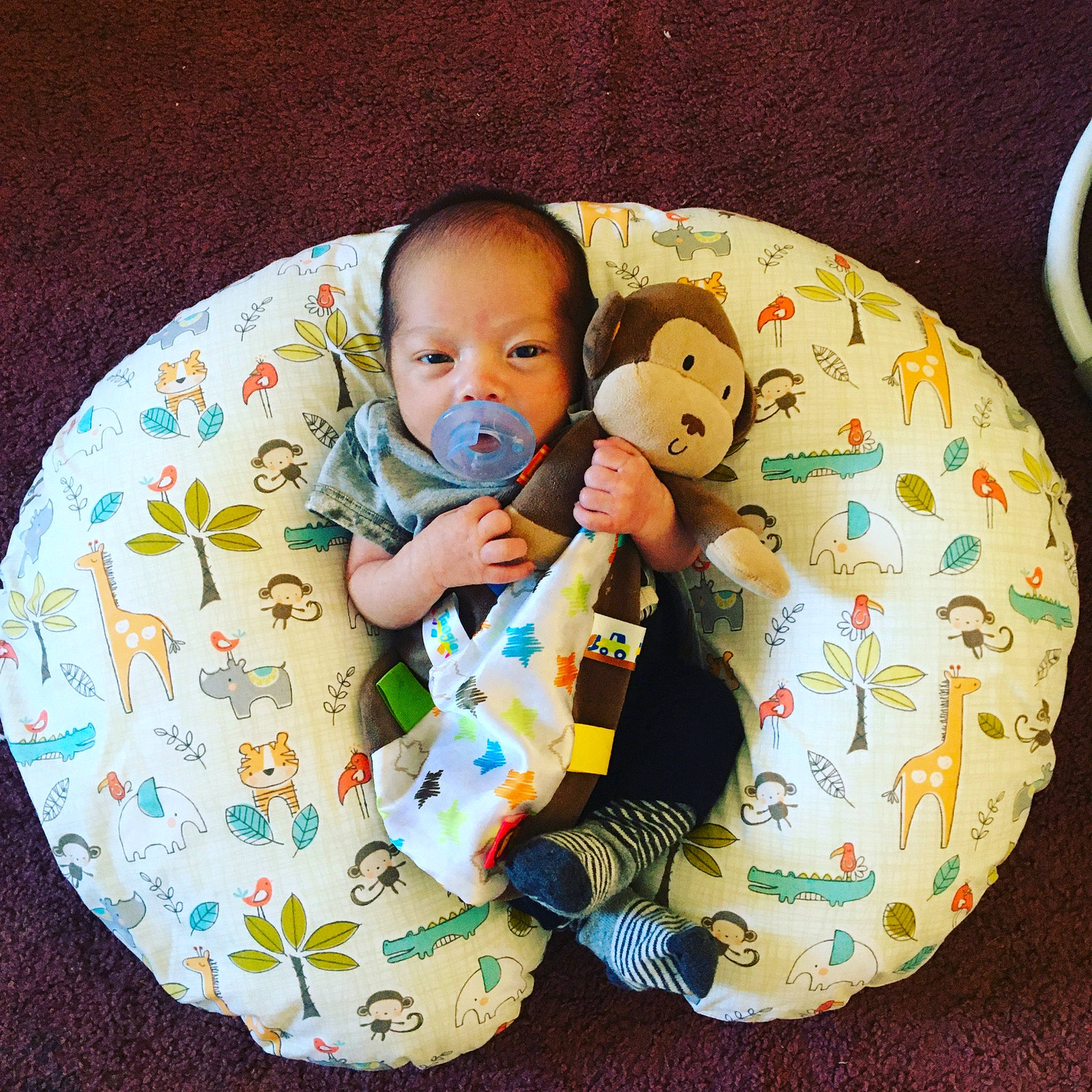 Callan is registered to the contest to win money with this photo: baby, baby_products, baby_sleeping, baby_toys, child, circle, comfort, dishware, person, play, product, tableware, toddler