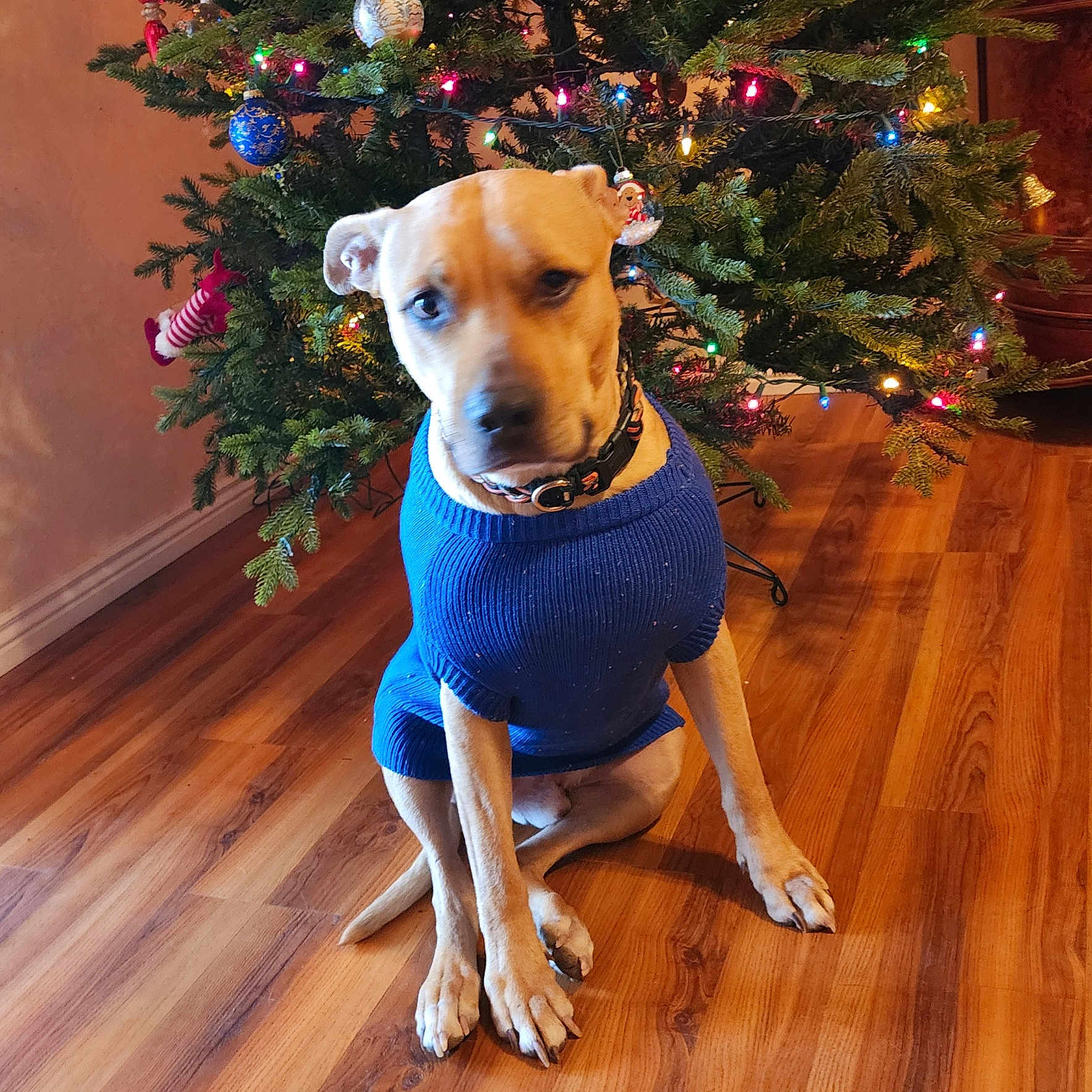 Oakley