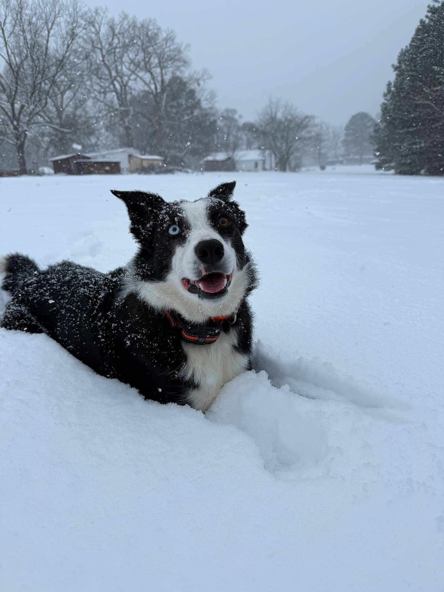 Maggie
