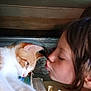 Wee G joined the competition — help win amazing prizes! child, cat, indoor, face, animal, pet, book, table, paws, cute, closeup, interaction, relaxed, brown_hair, person, feline, resting, love, affection, curious