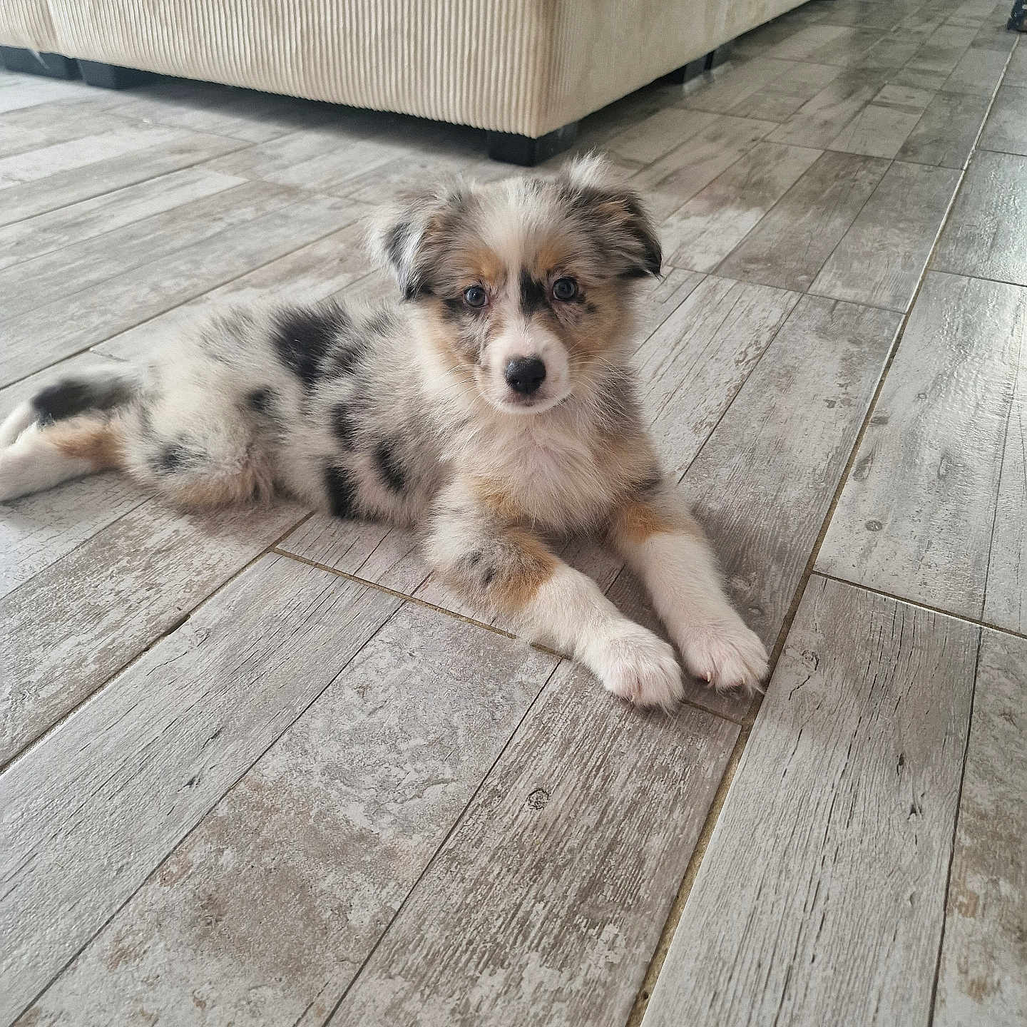 Baya