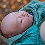 baby, sleeping, infant, blanket, soft, wrapped, closeup, face, peaceful, outdoor, autumn, blurred_background, skin, head, portrait, child, cozy, warm, person, resting