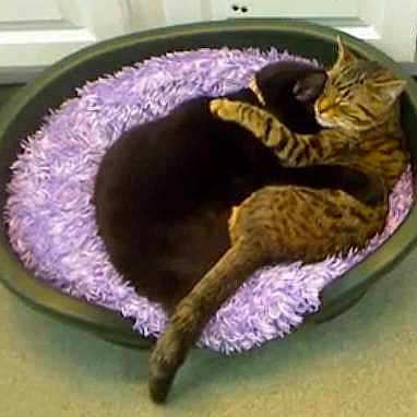 Trucker joined the competition — help win amazing prizes!