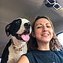black_and_white_dog, canine, car_interior, casual_clothing, closeup, collar, dog, friendship, happy, human, inside_car, joyful, panting, pet, portrait, seatbelt, short_hair, smiling, sunglasses, woman