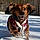 Axle