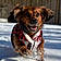 Axle