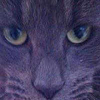 Sidney joined the competition — help win amazing prizes!