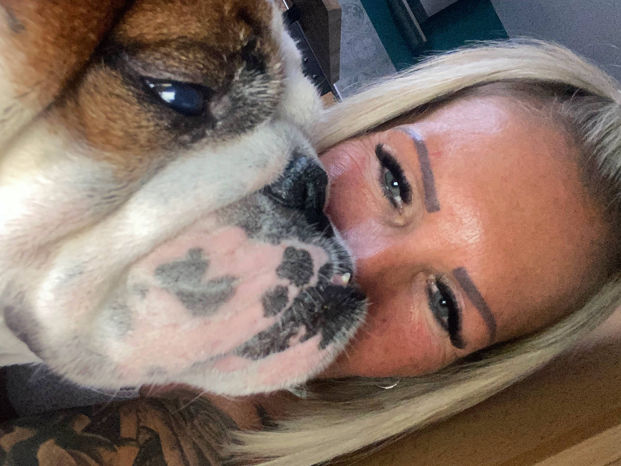 Maurice participe au concours pour gagner de l'argent avec cette photo : canidae, carnivore, close_up, comfort, companion_dog, dog, dog_breed, dog_supply, eyelash, fawn, fur, happy, jaw, nose, selfie, smile, sporting_group, whiskers, working_animal, working_dog