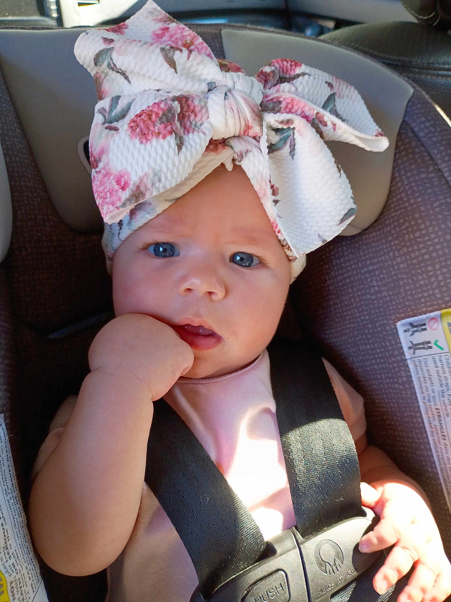Emeri joined the competition — help win amazing prizes! baby, child, car_seat, safety_harness, blue_eyes, floral_bow, pink_clothing, infant, chewing_fist, sunlight, shadow, seatbelt, closeup, portrait, cute, indoor, expression, headwear, person, car_interior