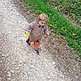 casual_clothing, child, dandelion, daylight, flower, grass, greenery, jacket, nature, outdoor, path, person, rocks, sidewalk, small_plant, sneakers, spring, toddler, walking, young_child