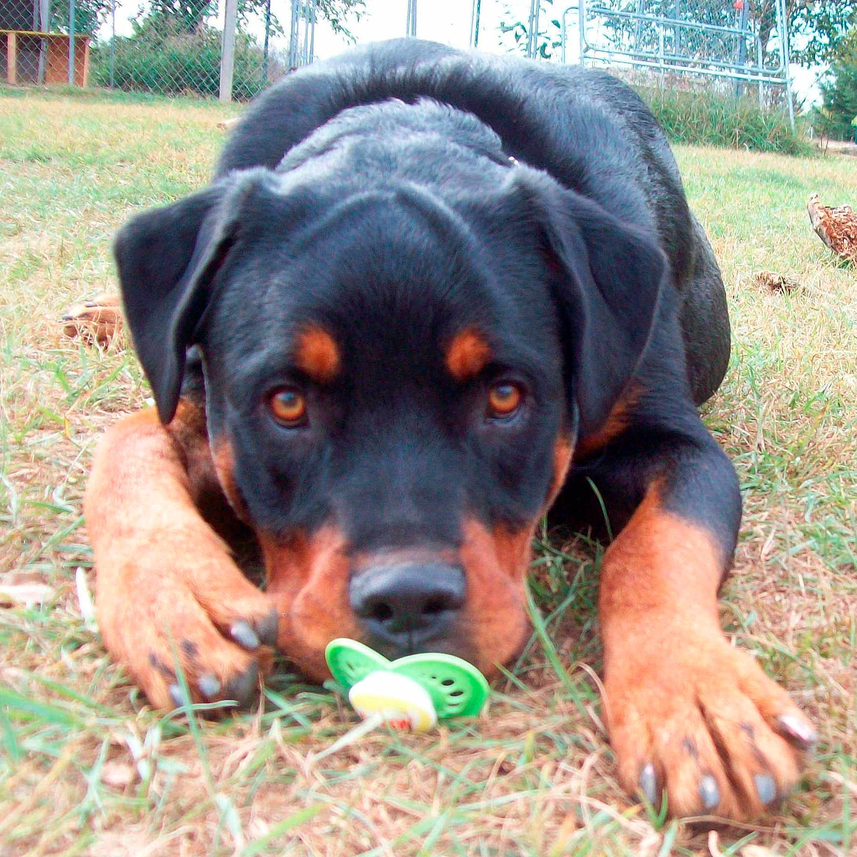 Caidyn joined the competition — help win amazing prizes!