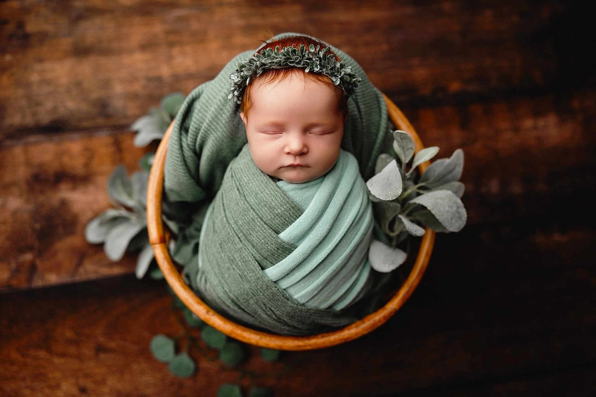 Debbierose is registered to the contest to win money with this photo: baby, newborn, sleeping, wrapped, blanket, green, wooden_bowl, flower_crown, headband, plant, foliage, soft_texture, cozy, portrait, peaceful, infant, cute, closeup, indoors, resting