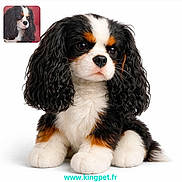Ayko a rejoint le concours — aidez-le/la à gagner de superbes lots ! background, black, brown, closeup, curly_fur, cute, dog, fluffy, isolated, pet_toy, plush, portrait, realistic, sitting, small_inset, soft, stuffed_animal, toy_dog, website_text, white