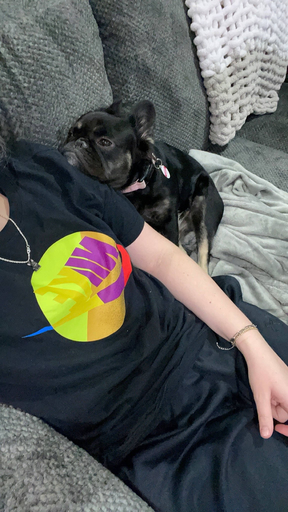 Monchi is registered to the contest to win money with this photo: ball, balloon, canidae, carnivore, cocktail_dress, comfort, companion_dog, couch, dog, dog_breed, dress, human_leg, linens, magenta, personal_protective_equipment, purple, sporting_group, thigh, toy, toy_dog