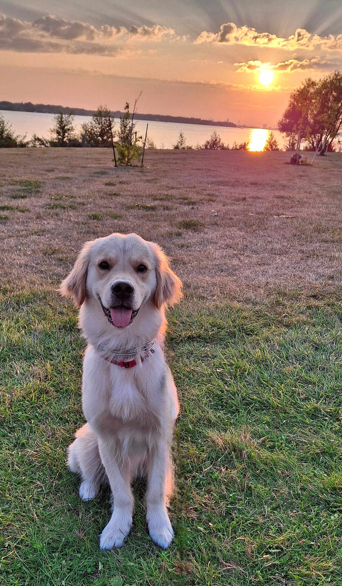 Knox