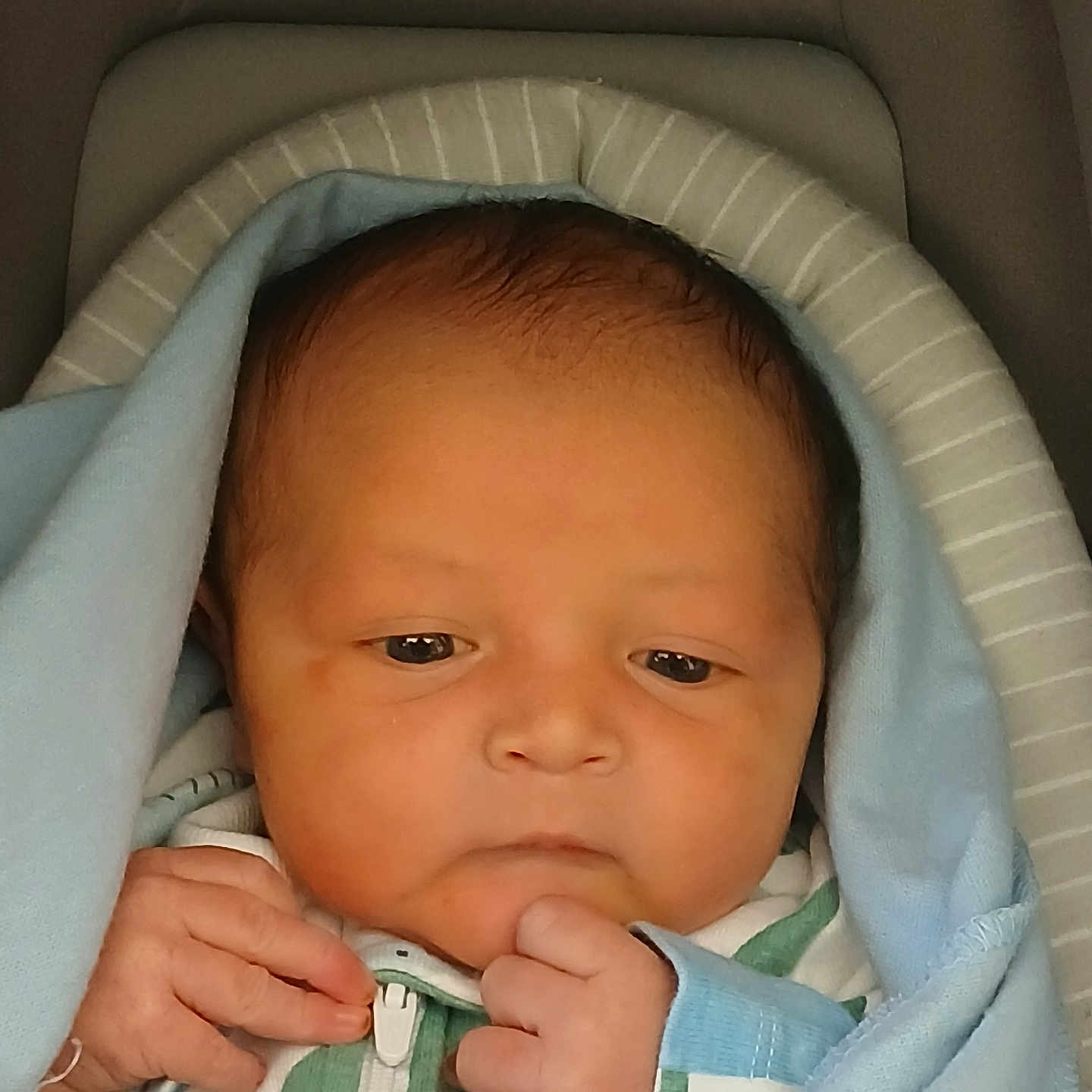 Twahn joined the competition — help win amazing prizes! newborn, baby, infant, wrapped, blanket, blue, face, hand, sleepwear, cute, portrait, young, child, closeup, soft, indoors, peaceful, expression, skin, human