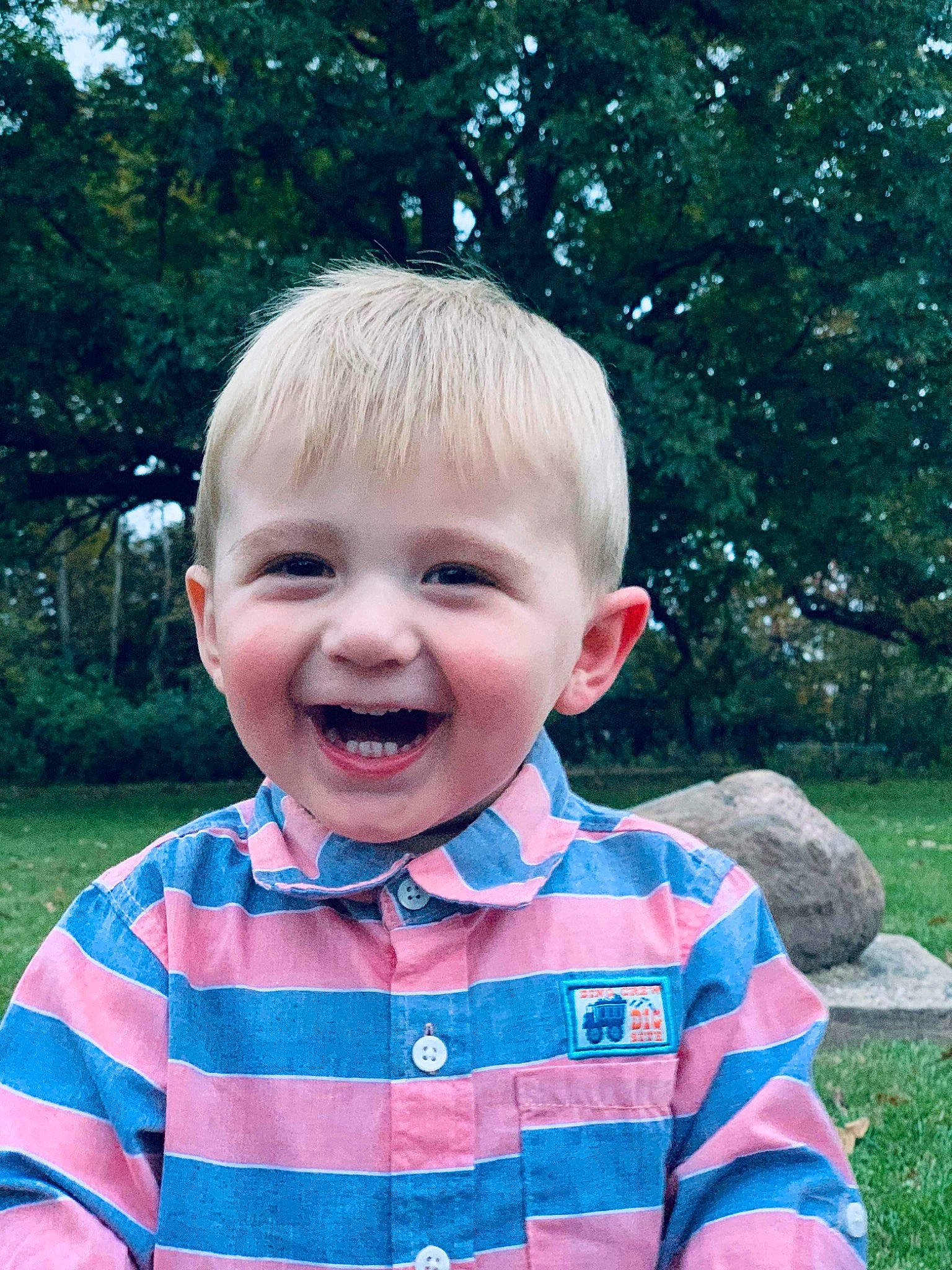 Brysin joined the competition — help win amazing prizes! baby, cheek, child, face, facial_expression, grass, happy, head, joy, laugh, male, person, smile, toddler, tooth