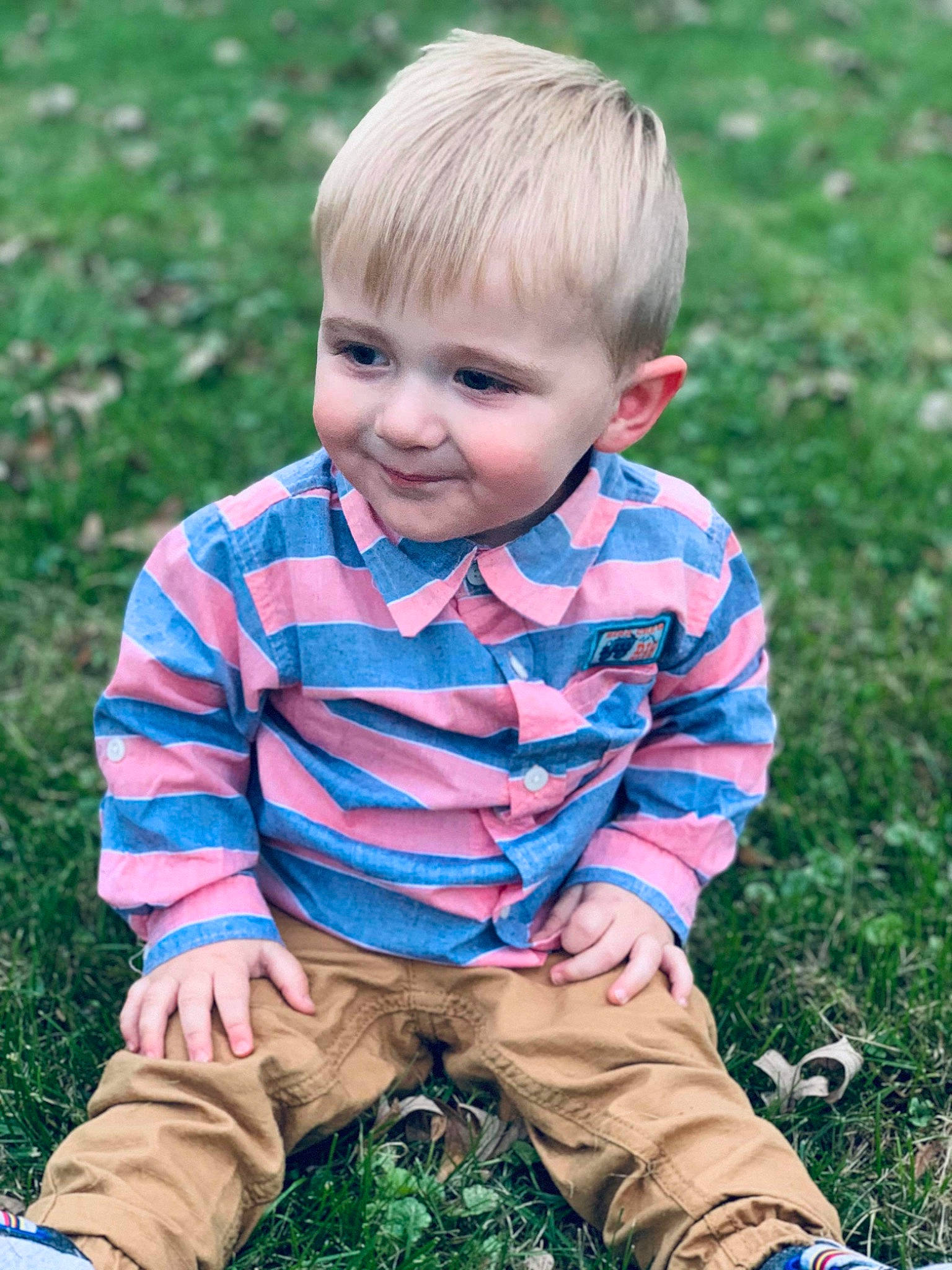 Brysin joined the competition — help win amazing prizes! baby, blond, cheek, child, fun, grass, hair, hairstyle, joy, lawn, leaf, male, person, photograph, photography, plant, play, portrait, sitting, skin