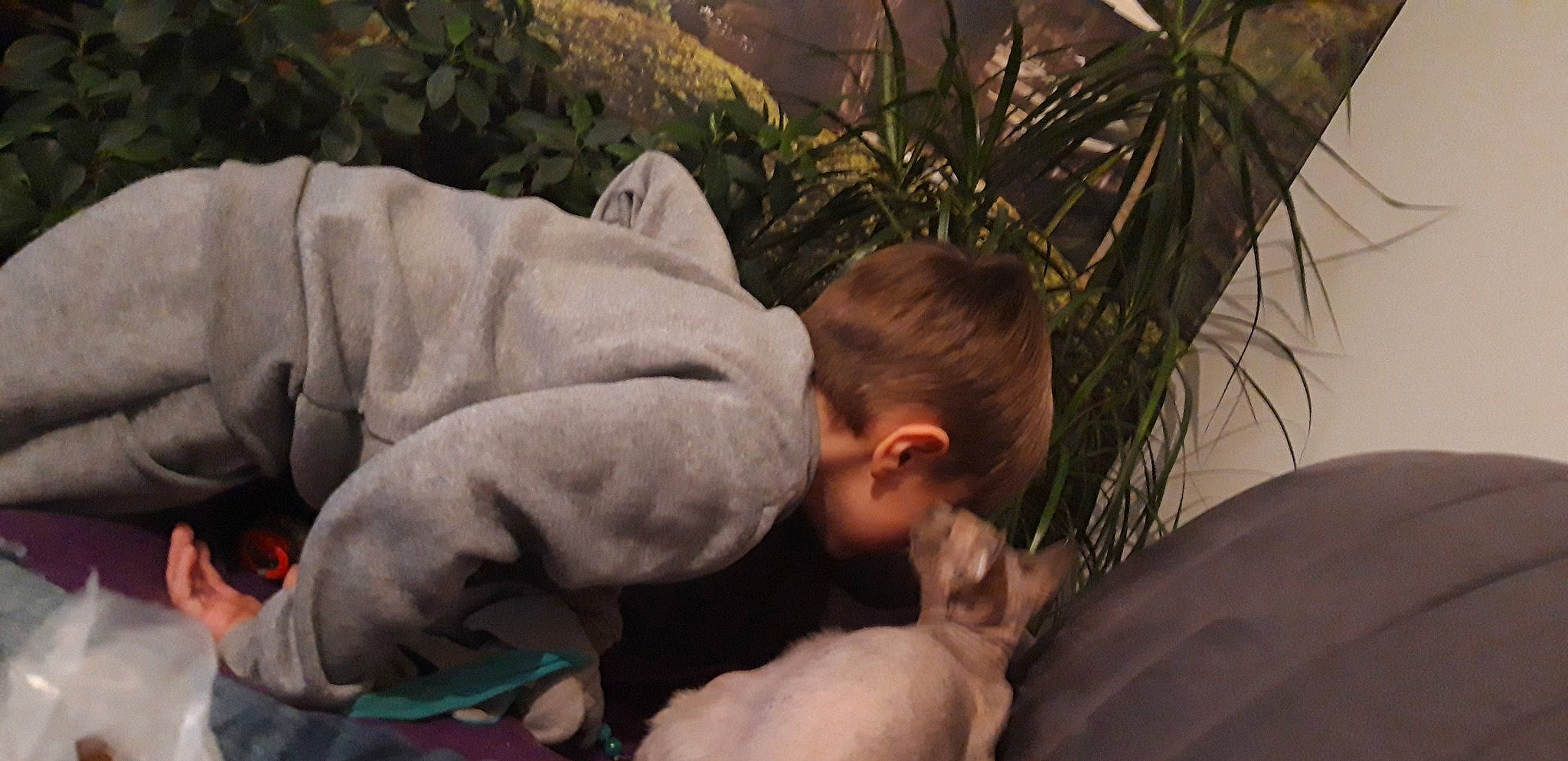 Nouméa Et Miss a rejoint le concours — aidez-le/la à gagner de superbes lots ! child