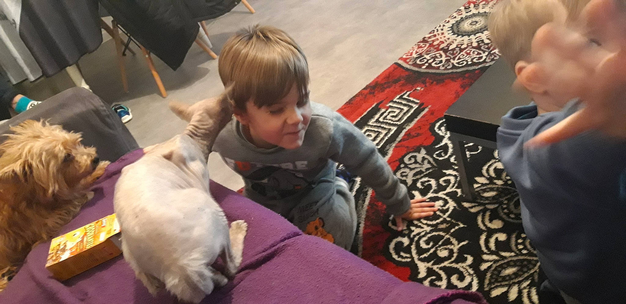 Nouméa Et Miss participe au concours pour gagner de l'argent avec cette photo : child, play, toddler