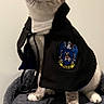 Kairo is registered to the contest to win money with this photo: cat, costume, cloak, ravenclaw, glasses, cat_tree, pet, indoor, feline, white_background, curious, sitting, portrait, cute, animal, whiskers, ears, fur, playful, magic