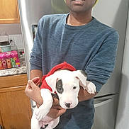 Chloe joined the competition — help win amazing prizes! person, puppy, dog, pet, holding, sweater, beanie, kitchen, refrigerator, cabinet, countertop, can, floor, indoor, white_dog, black_patch, cute, young, casual, home