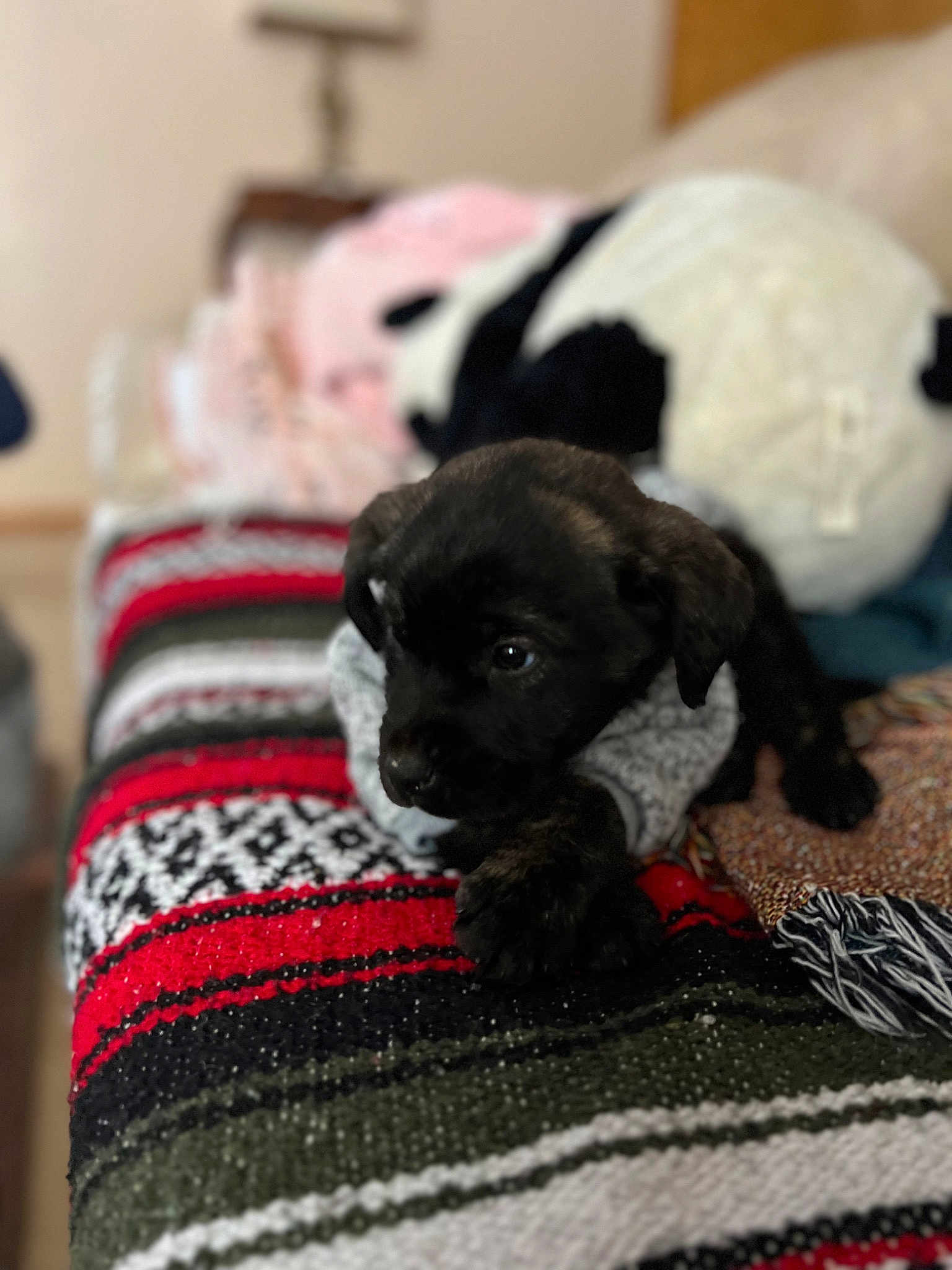 Bubba