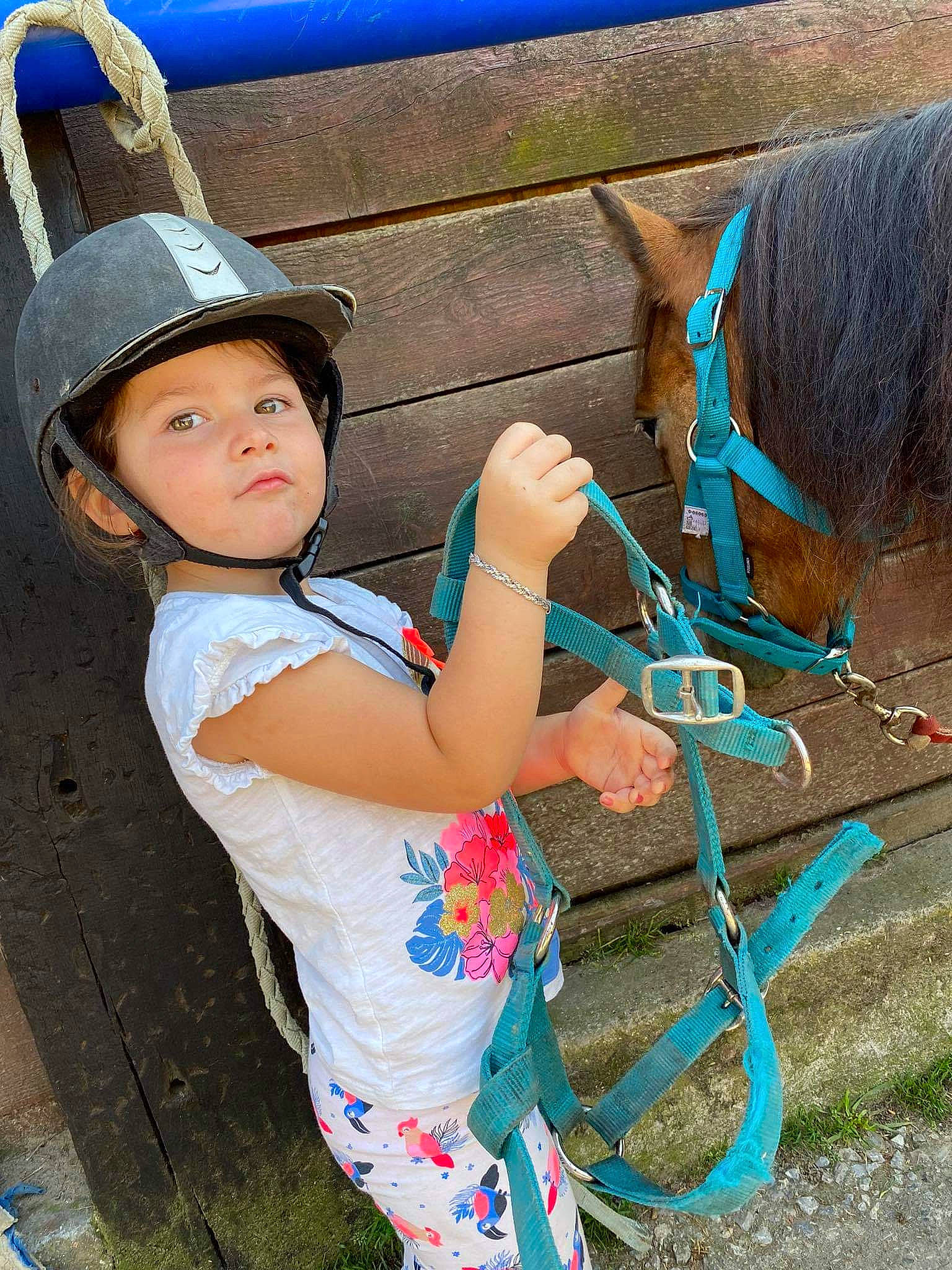Lillina participe au concours pour gagner de l'argent avec cette photo : arm, azure, baseball_cap, beauty, blue, cap, child, cool, electric_blue, flash_photography, fun, hand, happy, headwear, leisure, mammal, people, person, t_shirt, toddler