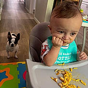 Teensy joined the competition — help win amazing prizes! baby, bib, child, colorful_play_mat, curious, dog, expression, food, furniture, hallway, high_chair, home, indoor, kitchen, macaroni_and_cheese, messy, pet, sitting, watching, wooden_floor