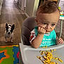 baby, bib, child, colorful_play_mat, curious, dog, expression, food, furniture, hallway, high_chair, home, indoor, kitchen, macaroni_and_cheese, messy, pet, sitting, watching, wooden_floor