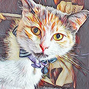 Kali is registered to the contest to win money with this photo: acrylic_paint, aegean_cat, american_wirehair, art, asian, carnivore, cat, domestic_short_haired_cat, drawing, european_shorthair, eye, felidae, illustration, kitten, painting, small_to_medium_sized_cats, tabby_cat, tail, watercolor_paint, whiskers