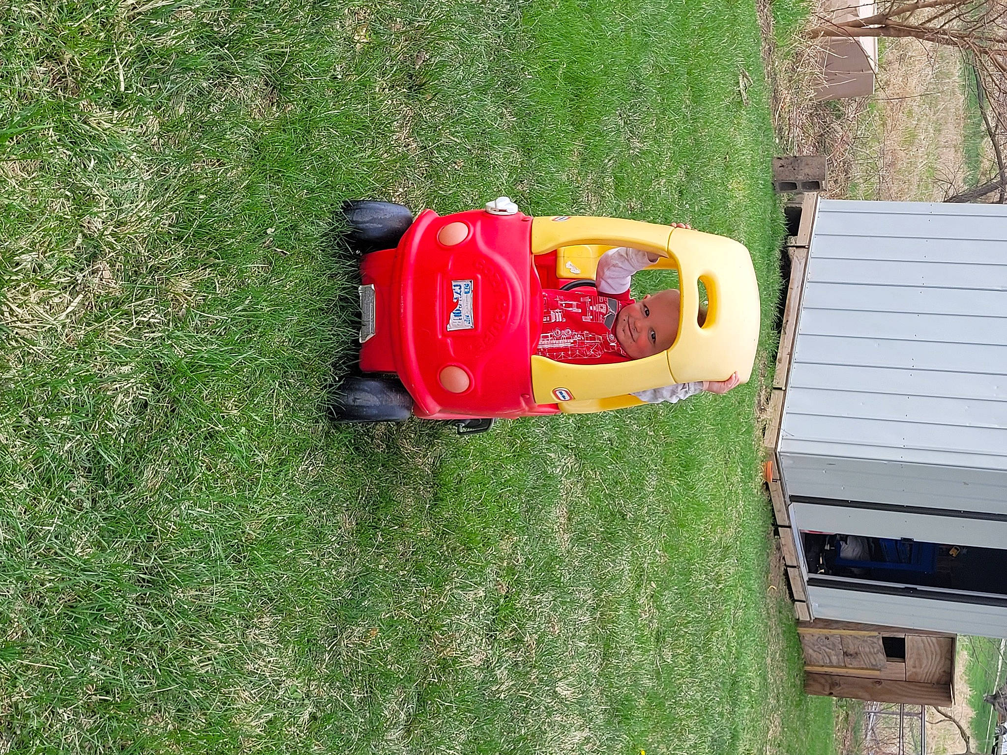 Arnold joined the competition — help win amazing prizes! art, automotive_exterior, bumper, flooring, grass, grass_family, grassland, groundcover, headwear, joy, landscape, lawn, motor_vehicle, outdoor_bench, outdoor_furniture, person, plant, shrub, soil, table