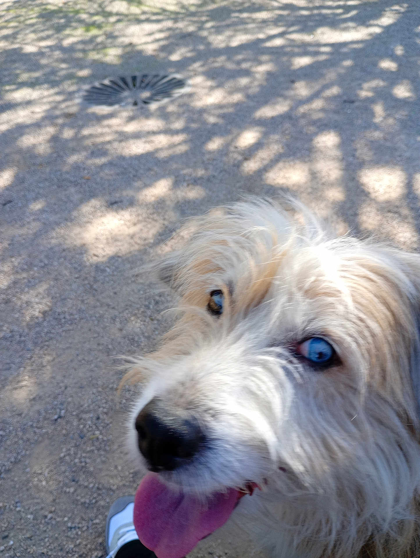 Louna
