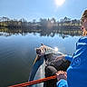 Molly participe au concours pour gagner de l'argent avec cette photo : cat, kayak, person, lake, water, sun, reflection, nature, outdoor, blue_sky, trees, paddle, calm, animal, adventure, serene, sunlight, jacket, recreation, wildlife