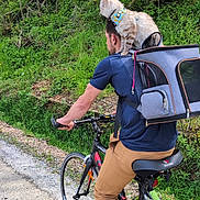 Molly participe au concours pour gagner de l'argent avec cette photo : man, bicycle, cat, pet, outdoor, forest, greenery, cycling, path, nature, backpack, animal, harness, casual_clothing, sport, adventure, road, helmet_absent, daytime, travel