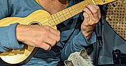 Molly participe au concours pour gagner de l'argent avec cette photo : woman, cat, ukulele, music, indoor, playing, pet, lap, cozy, casual_clothing, long_hair, seated, furry, instrument, wood, black_pants, focused, relaxed, comfort, bond