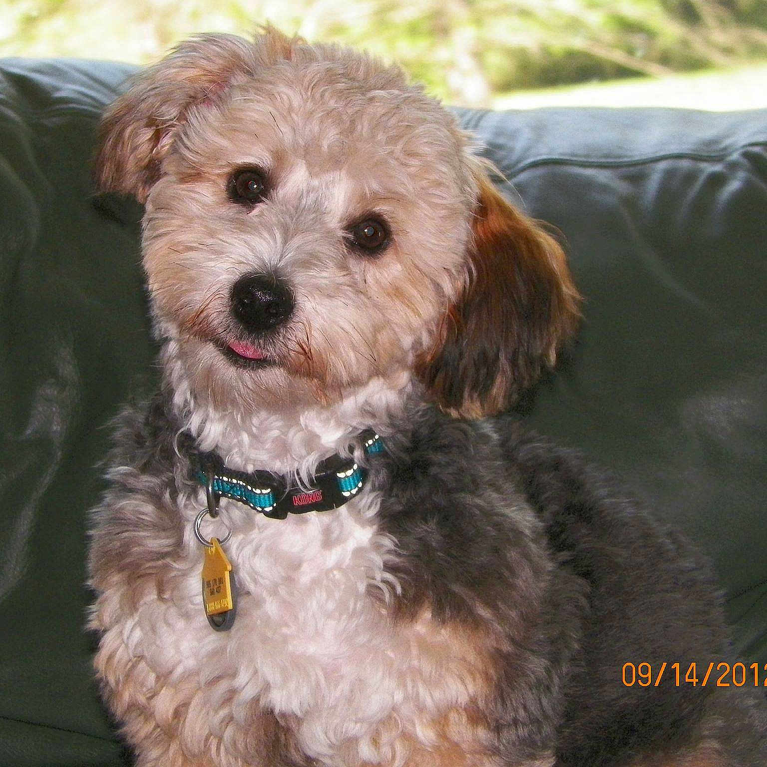 Max joined the competition — help win amazing prizes!